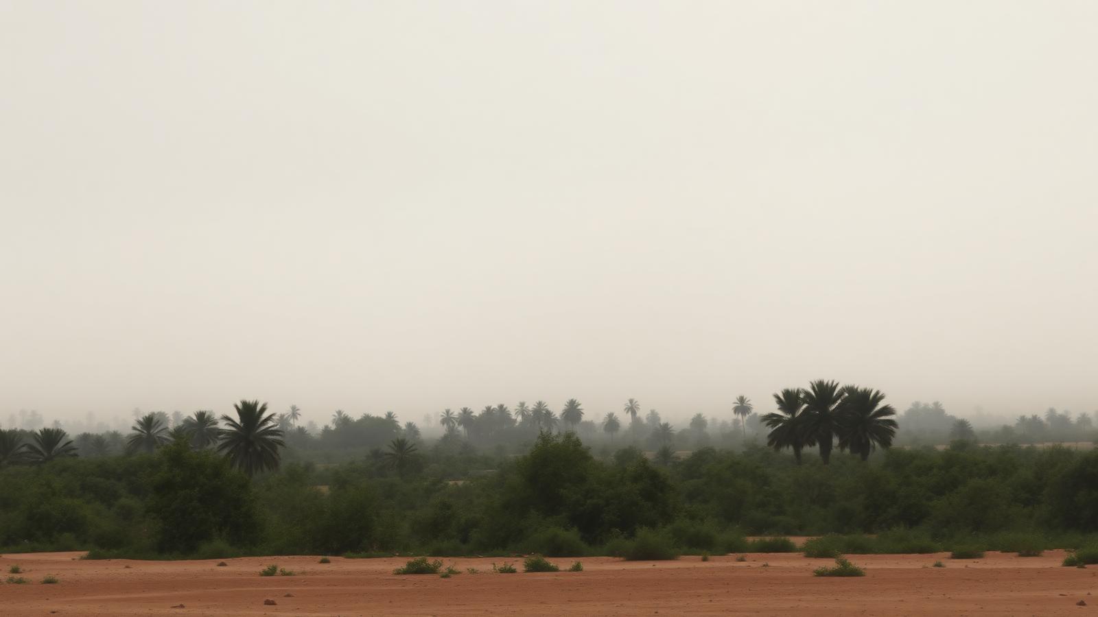 Paysage tropical sous un ciel voilé par une brume de sable
